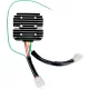 Alternator RICK'S MOTORSPORT ELECTRIC 10-116