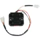 Alternator RICK'S MOTORSPORT ELECTRIC 10-409