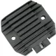 Alternator RICK'S MOTORSPORT ELECTRIC 10-418