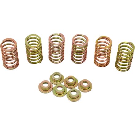 CLUTCH SPRING KIT