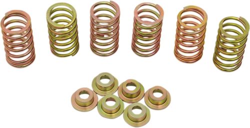 Clutch Spring Kit