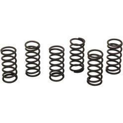 Clutch Spring Kit Kaw