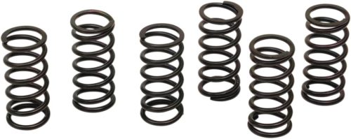 Clutch Spring Kit Kaw