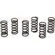 Clutch Spring Kit Kaw