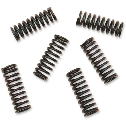 CLUTCH SPRING KIT YAM