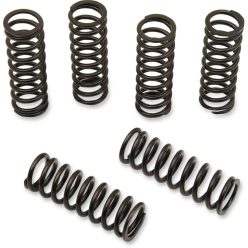 CLUTCH SPRING KIT HON BARNETT 501-53-06114