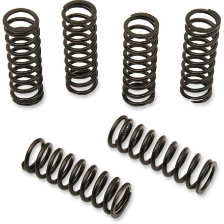 CLUTCH SPRING KIT HON