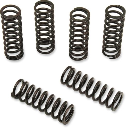 Clutch Spring Kit Hon