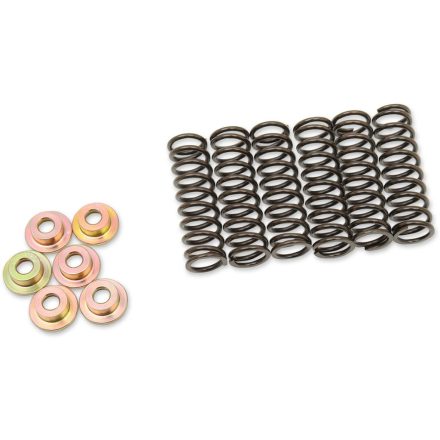 CLUTCH SPRING SET YAM