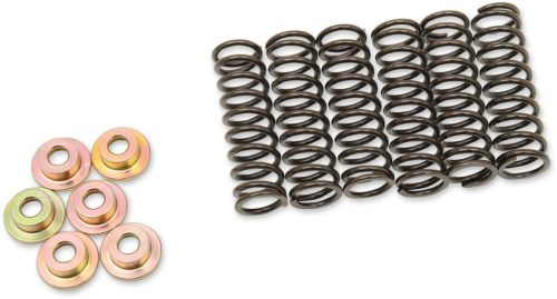 Clutch Spring Set Yam