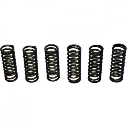 EbcClutch Spring Kit Coil Spring Csk Series Steel Csk075 5050953600708