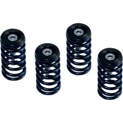 Clutch Sprg W/Blk Ducati