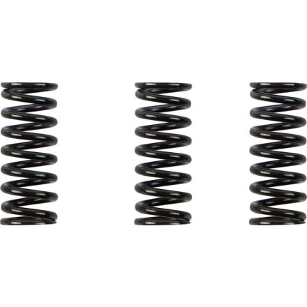 CLUTCH SPRING KIT DUCATI