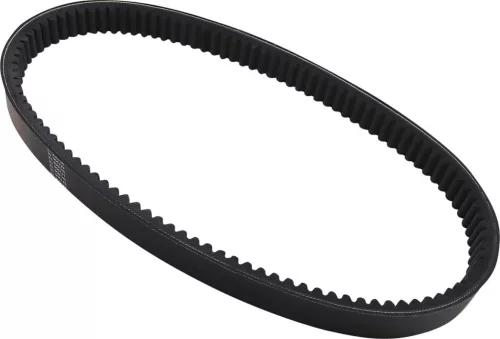 Curea de transmisie Dayco HP3019