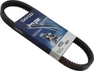 Curea de transmisie Dayco HP3021