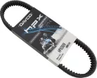 Curea de transmisie Dayco HPX5009