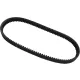 Curea de transmisie Dayco HPX5017