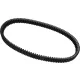 Curea de transmisie Dayco XTX5054