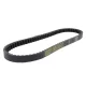 Curea de transmisie Dayco 8135K