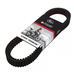 Curea transmisie Gates PL41031