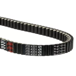 Curea transmisie JT Drive Belts JTB4301KR