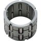 SPRAGUE CARRIER KIT POL ALL BALLS DIF-PO-10-001