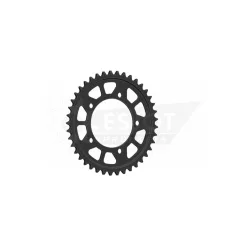Pinion spate Esjot 41T oțel 50-29059-41