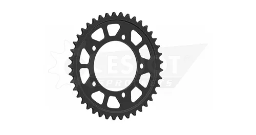 Pinion spate Esjot 41T oțel 50-29059-41