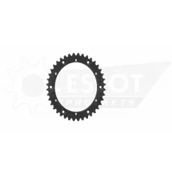 Pinion spate Esjot 40T oțel 50-32003-40