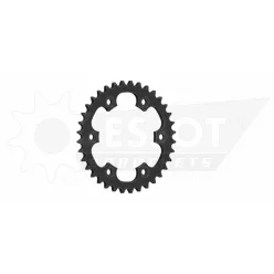 Pinion spate Esjot 36T oțel 50-35066-36