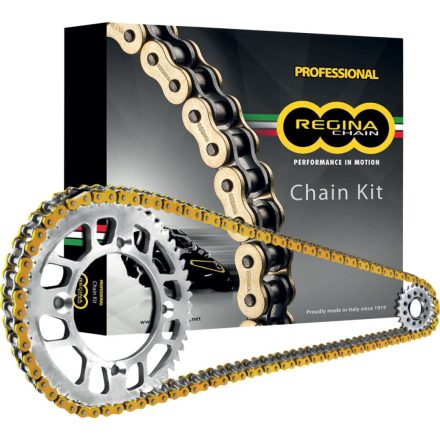 Regina Kit Tri Tiger 1050 07-08