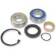 CHAINCASE BEARING-SEAL KT ALL BALLS 14-1004