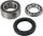CHAINCASE BEARING-SEAL KT ALL BALLS 14-1010