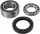 Rulment chaincase All Balls 14-1010