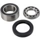CHAINCASE BEARING-SEAL KT ALL BALLS 14-1010