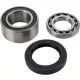 Rulment chaincase All Balls 14-1010