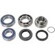 CHAINCASE BEARING-SEAL KT ALL BALLS 14-1059