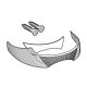 Benzi reflectorizante SHAD D1B331CAR for SH33