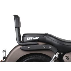 Spatar SHAD K0SP12SN Sissy Bar