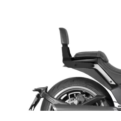 Spatar SHAD M0CV15SN Sissy Bar