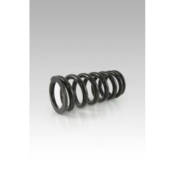 RR SHOCK SPRING LOW KIT -20MM 