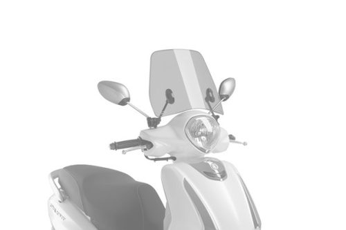 Windshield PUIG TRAFIC 20747W transparent