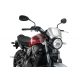 Windshield PUIG FRONTAL PLATE 3593P argintiu