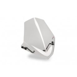 Windshield PUIG NEW. GEN SPORT 3657W transparent