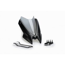 Parbriz PUIG NEW GEN. SPORT 3840H fumuriu