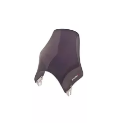 Parbriz NAKE PUIG NAKED 4112F dark smoke