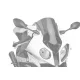 Parbriz PUIG RACING 5205W transparent