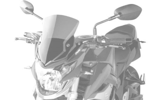 Windshield PUIG NEW. GEN SPORT 5646W transparent