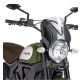 Windshield PUIG RETROVISION 8192W carbon look transparent