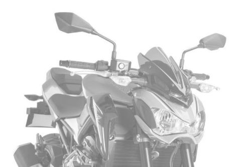 Windshield PUIG NEW. GEN SPORT 9689C carbon look
